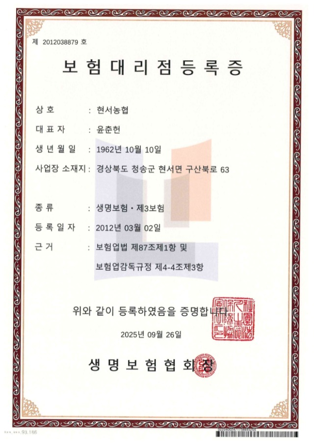 �������� �븮��.jpg